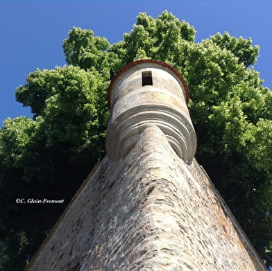 Avallon, a little-known town at the gateway to the Morvan