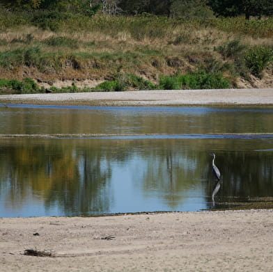 Family walk: Discovery trail of the Bec d'Allier ferryman