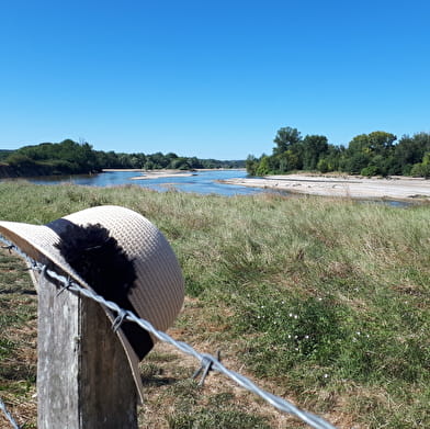 Family walk: Discovery trail of the Bec d'Allier ferryman